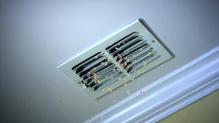 Best Air Duct Cleaning Near Me  in Raintree Plantation, MO
