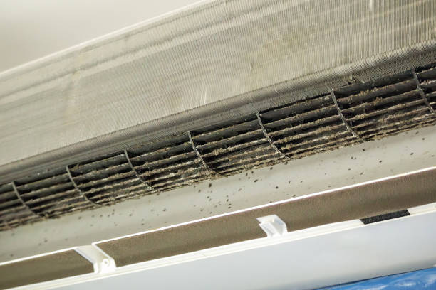 Best HVAC Air Duct Cleaning  in Raintree Plantation, MO