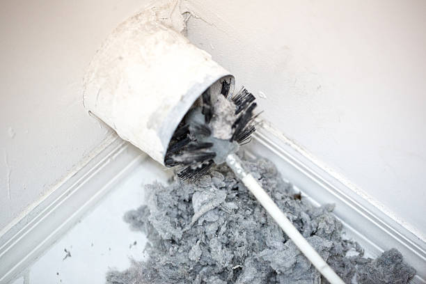 Best Professional Duct Cleaning Services  in Raintree Plantation, MO
